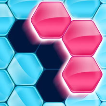 Hexa Blocks Hexa Blocks